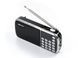 Радиоприемник BKK USB/MP3 L088 100шт 8207 8207 фото 3